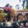 Bougainvillea Fine Art Limited Edition Canvas