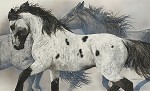 The Ghost Wind Fine Art Limited Edition Canvas