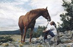 From a Higher Level Fine Art Limited Edition Canvas