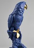 Macaw Bird. Blue-Gold