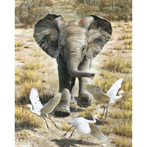 Carl Benders-Flushing Egrets-Elephant Calf