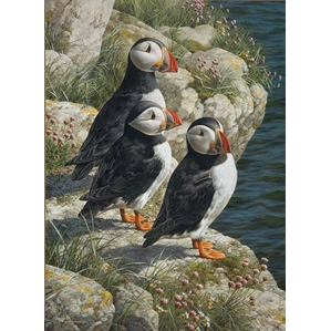 Carl Benders-FishermanÂ´s Wharf - Puffins