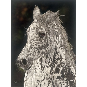 Judy Larson-American Horse Limited Edition