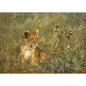 Simon Combes-Lion Cub and Butterfly SMALLWORK EDITION ON