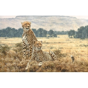 Simon Combes-Cheetah Pair