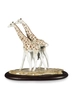 Lladro - Giraffes