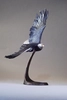 Mark Hopkins - Wings of Freedom (Bald Eagle Patina)