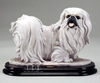 Giuseppe Armani - Pekingese