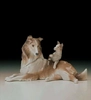 Lladro - Collie with Puppy 1997-00