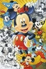 Tim Rogerson - 90 Years of Mickey Mouse Premiere Edition