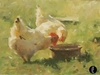 Leonard Wren - Spring Chickens