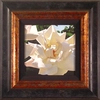 Brian Davis - Radiant Rose Framed