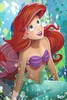 Arcy - The Little Mermaid