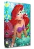 Arcy - The Little Mermaid