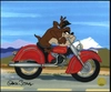 Chuck Jones - Acme Road Hog