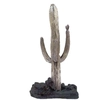 Dargenta - Silver Saguaro Cactus Sculpture