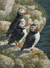 Carl Benders - FishermanÂ´s Wharf - Puffins