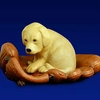 Will Bullas - Puppy Glove - 100x100