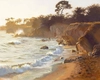 June Carey - Sundown at Sea Ranch