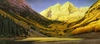 Scott Kennedy - Rocky Mountain Gold Limited Edition Print