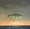 Robert Deyber - Holy Mackerel