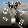 Robert Deyber - The Jack Ass Playing Cards