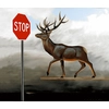 Robert Deyber - The Buck Stops Here Deer at Stop Sign