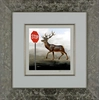 Robert Deyber - The Buck Stops Here Deer at Stop Sign Framed