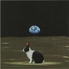 Robert Deyber - A Hare Out of Place I Outer-Space