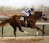 Mike Kupka - Secretariat