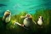 Joel Payne - Porgs at Play