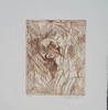 William Tolliver - Etching 14 Artist Signed