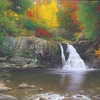 Larry Dyke - Autumn In The Smokies By Larry Dyke - 100x100