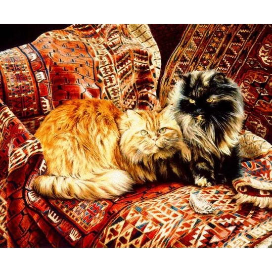 Jessica Holm - Five Persians Limited Edition Print