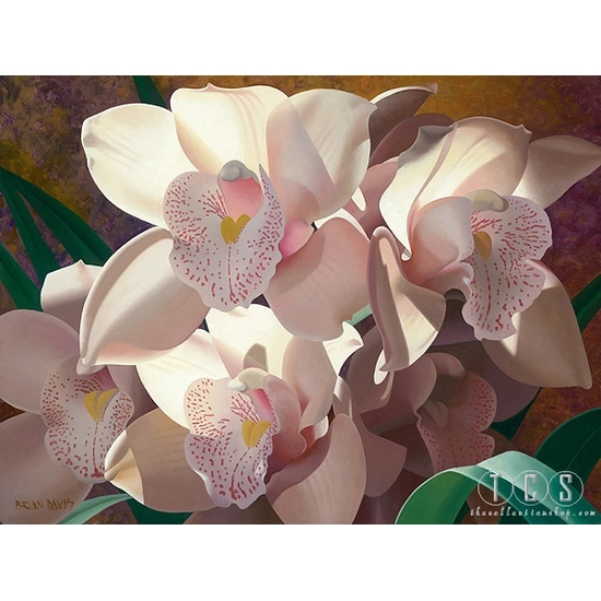 Brian Davis - Cymbidium Spray