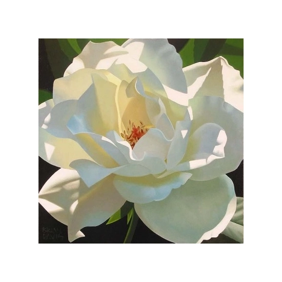 Brian Davis - Rose In The Shadows Giclee