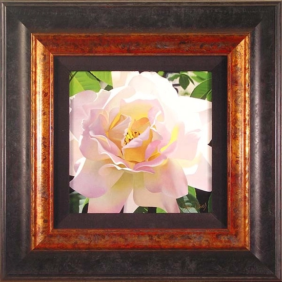 Brian Davis - Single Pristine Rose Framed