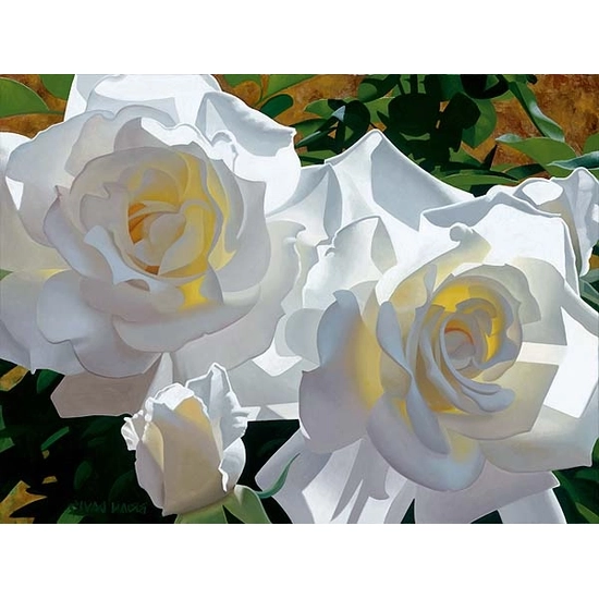 Brian Davis - White Roses Aglow