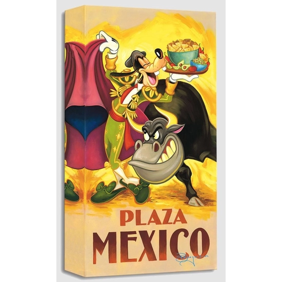 Tim Rogerson - Goofy's Plaza Mexico