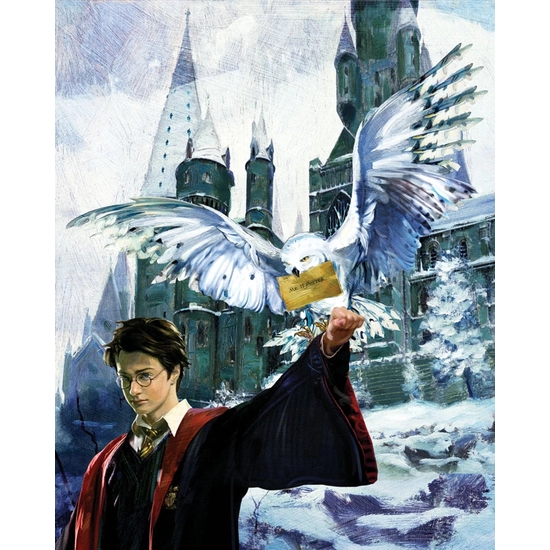 Jim Salvati - Harry and Hedwig From Harry Potter