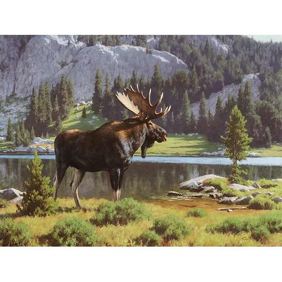 Tucker Smith - Moose at Dean Lake