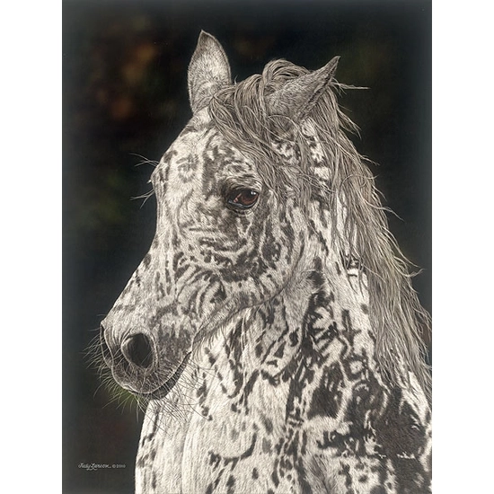 Judy Larson - American Horse Limited Edition