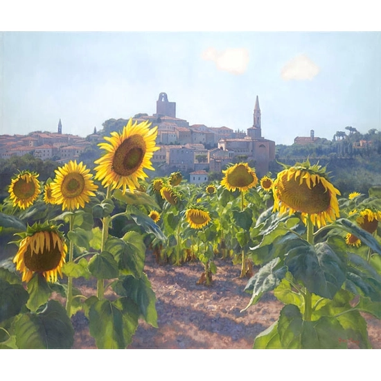 June Carey - Sunflowers of Castiglion Fiorentino