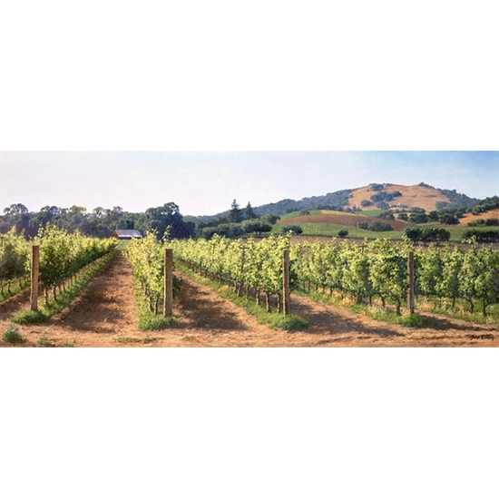 June Carey - Vineyard Before the Harvest