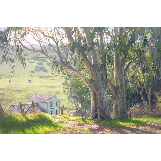 June Carey - Basking Eucalyptus