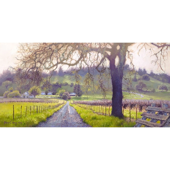 June Carey - Early Spring Sonoma Valley