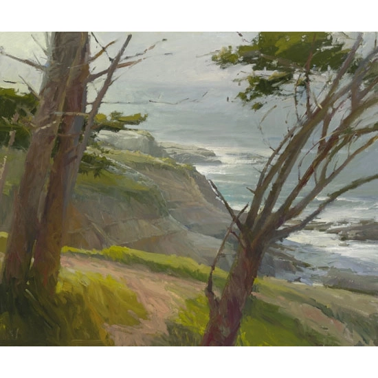 Ken Auster - La Jolla Light