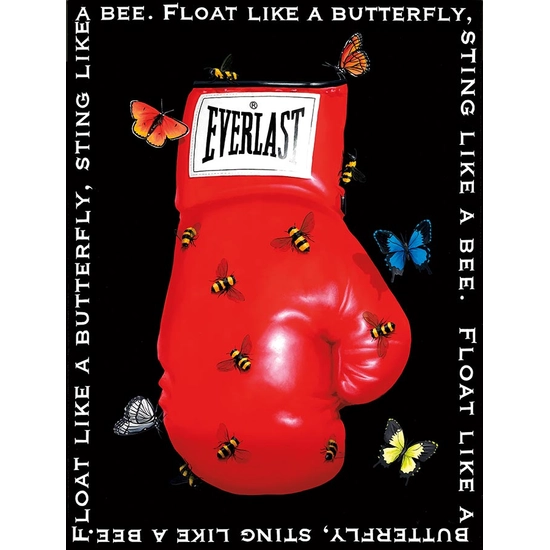 Robert Deyber - Float Like A Butterfly, Sting Like A Bee