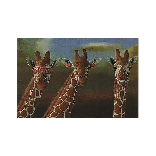 Robert Deyber - See No Evil, Hear No Evil, Speak No Evil Giraffes