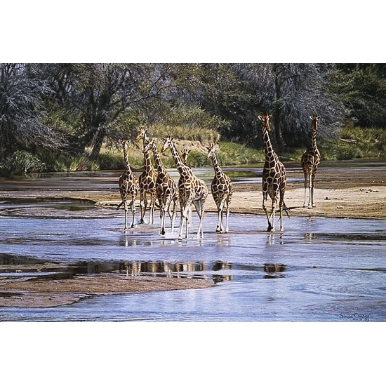 Simon Combes - Ripples and Reflections